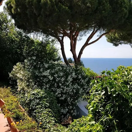 Andrea Apartman