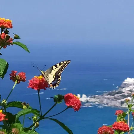 Andrea Forio di Ischia