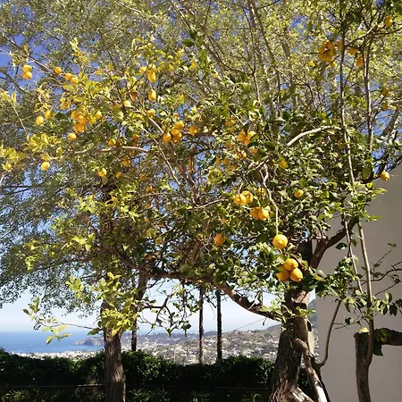 Andrea Apartman Forio di Ischia