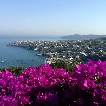 Andrea Forio (Isola d'Ischia)