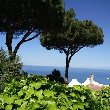 Andrea شقة Forio di Ischia