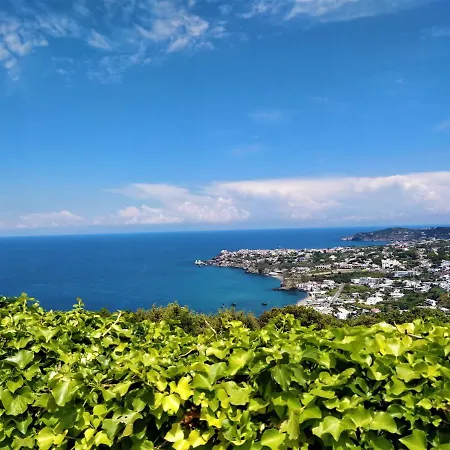 Andrea * Forio (Isola d'Ischia)