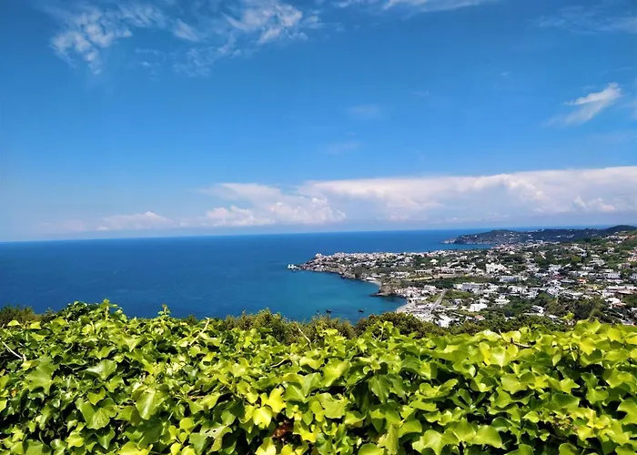 Andrea * Forio di Ischia